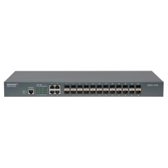 DAS-24G Ethernet-����������